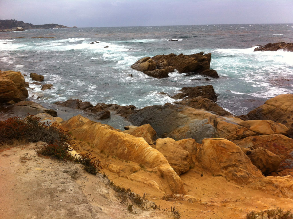 Point Lobos, Carmel, Hiking, Central Coast, Beaches, Ocean, California, Travel