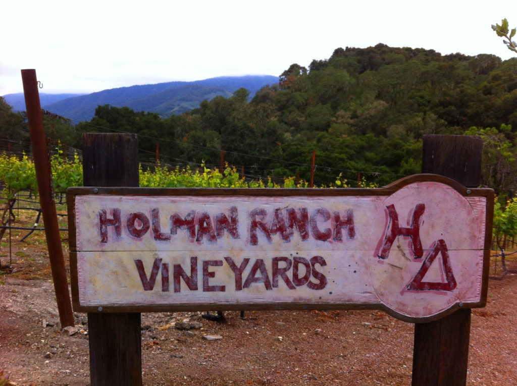 Holman Ranch, Central Coast, Wine, Vineyard, California, Hotel, Ranch, Accommodations, Travel, Event Venue