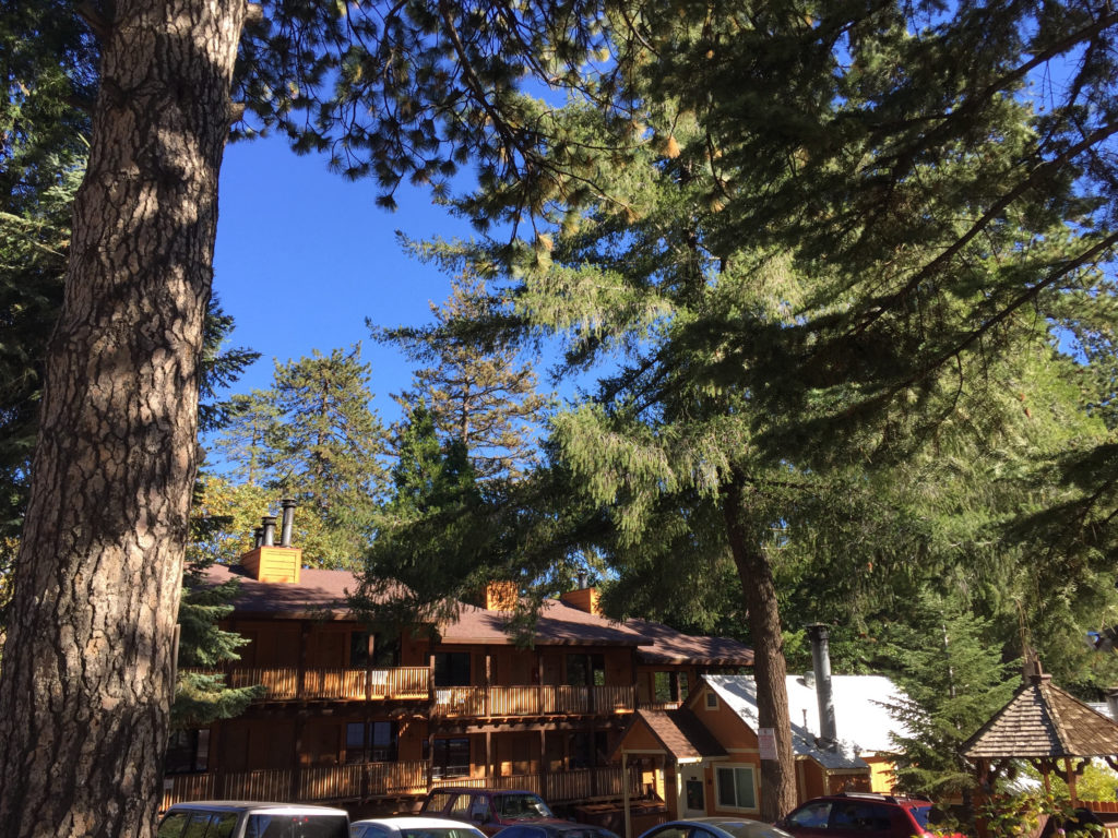 Sleepy Hollow Cabins & Hotel, Crestline, California, Hotel, Review, Mountain, Adventure, Travel