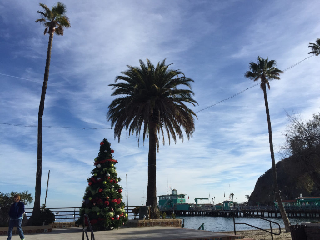 Avalon, Catalina Island, December, Travel