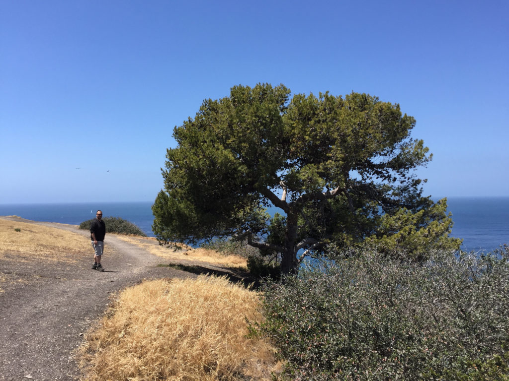 Hiking in Palos Verde, California, Adventure, Travel, Beaches