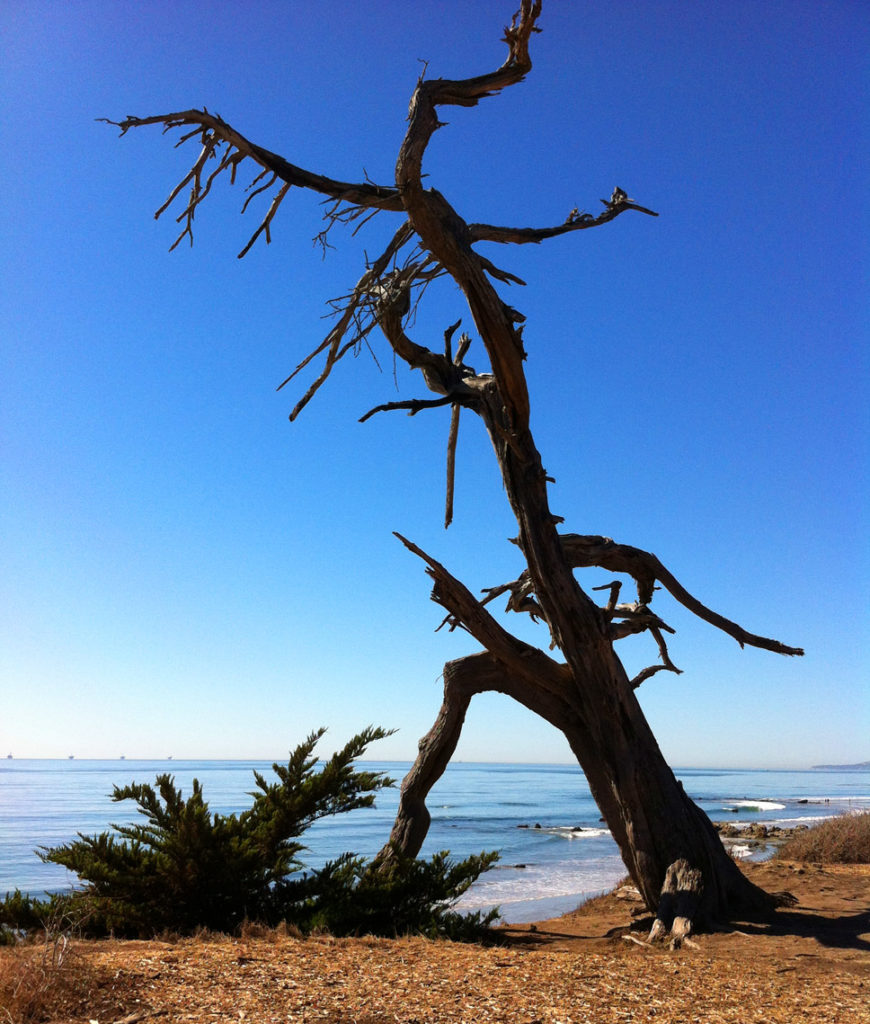 Carpinteria Bluffs Trail, Hiking in Carpinteria, Ocean, California, Adventure, Travel