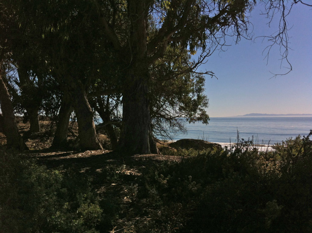 Carpinteria Bluffs Trail, Hiking in Carpinteria, Ocean, California, Adventure, Travel