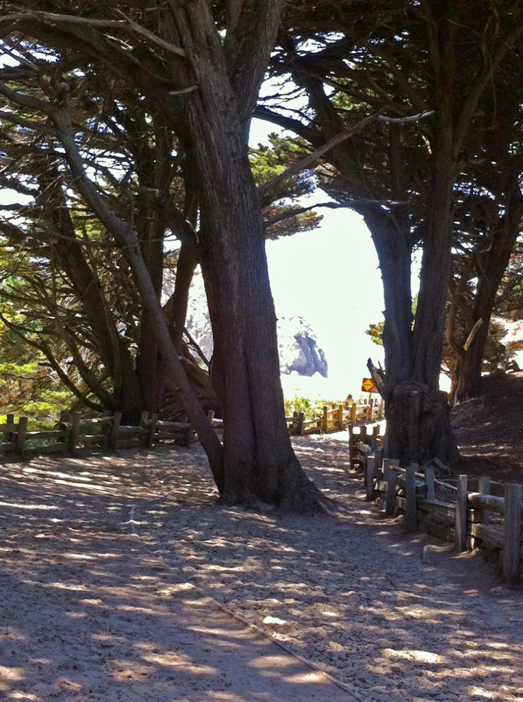 Pfeiffer Beach, Big Sur, California, Purple Beach, Beaches, Travel