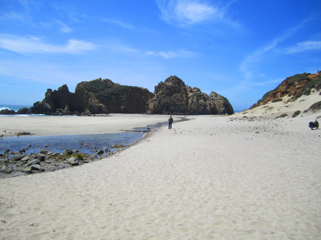 Pfeiffer Beach, Big Sur, California, Purple Beach, Beaches, Travel