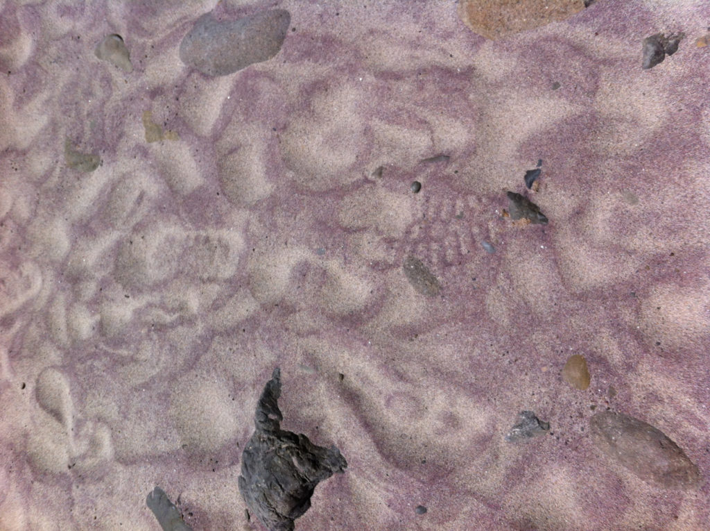 Pfeiffer Beach, Big Sur, California, Purple Beach, Beaches, Travel