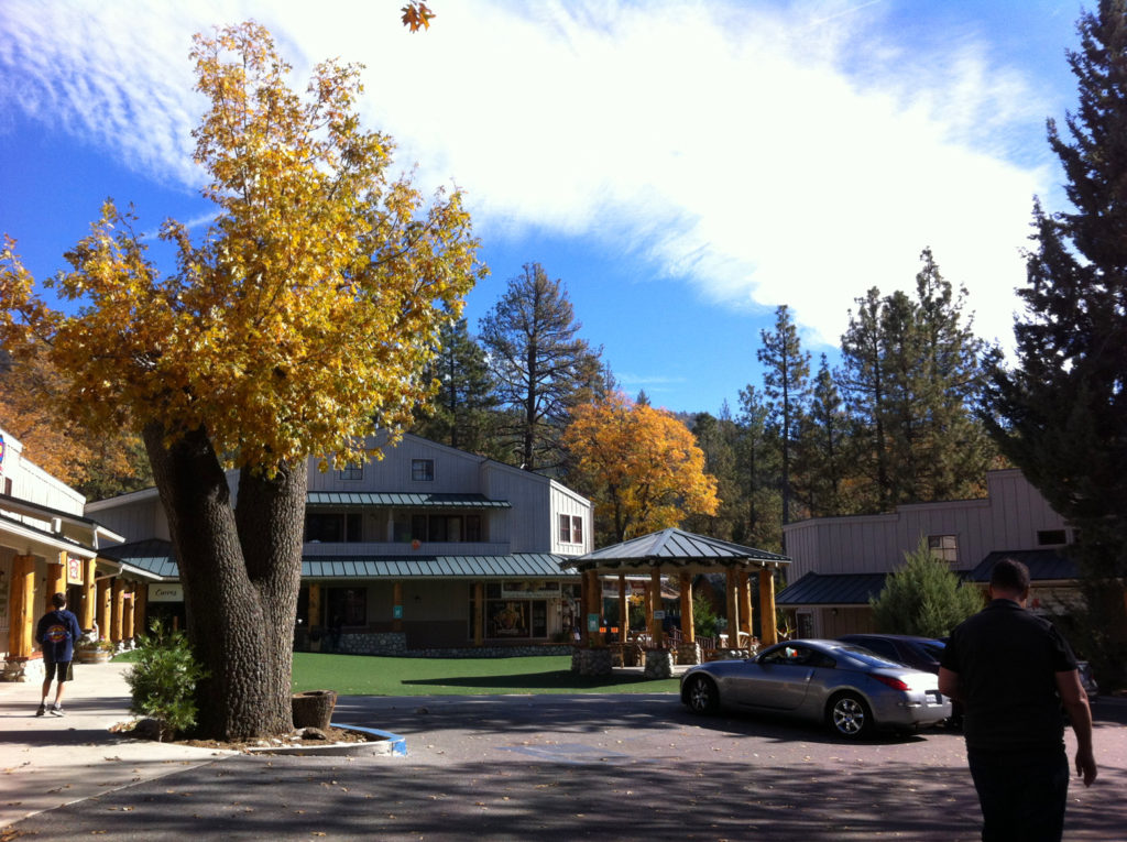 Idyllwild, California, Mountains, Adventure, Hiking, Food and Drink, Hotels, Travel, Road Trips