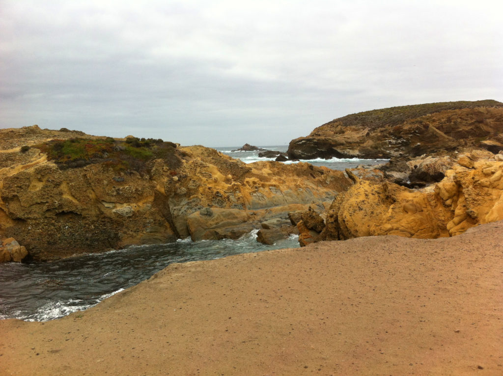 Point Lobos, Carmel, Hiking, Central Coast, Beaches, Ocean, California, Travel