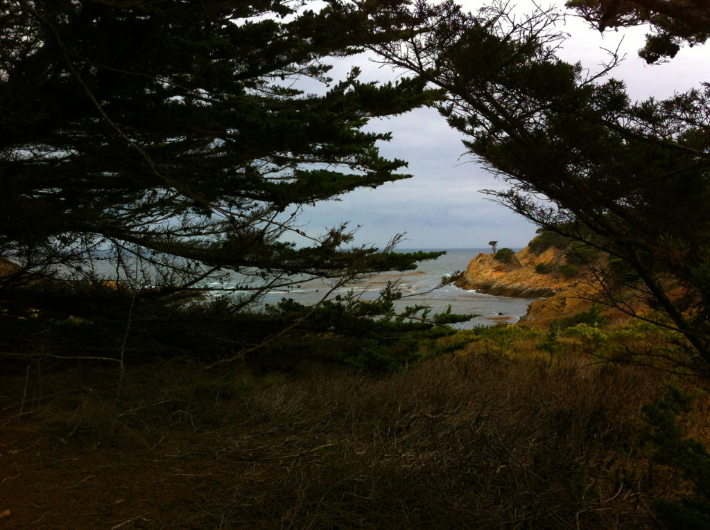 Point Lobos, Carmel, Hiking, Central Coast, Beaches, Ocean, California, Travel