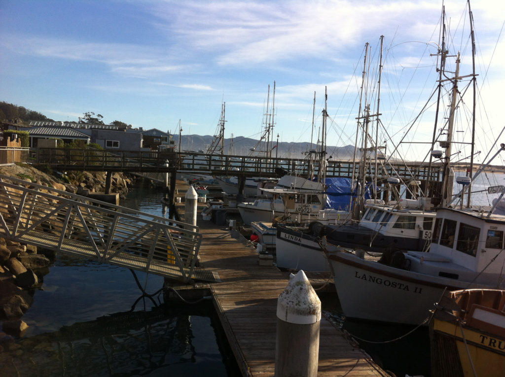 Morro Bay, California, Travel, Morro Rock, Central Coast, Beach