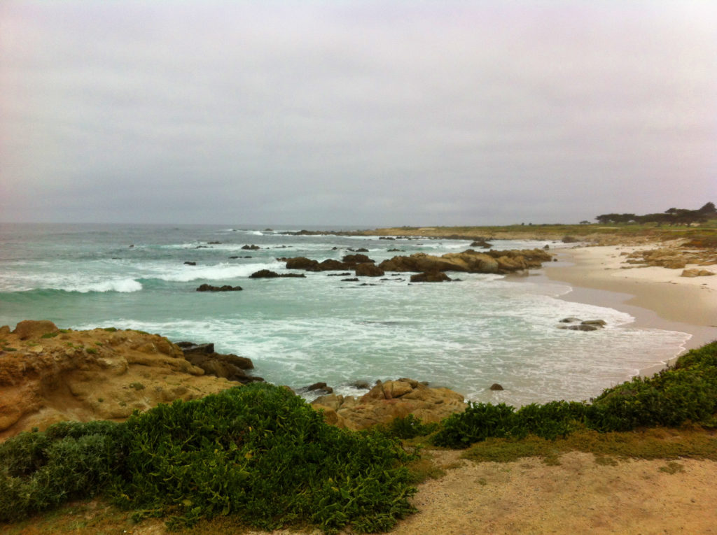 17-Mile Drive, Carmel, Pacific Grove, Monterey, Central Coast, Travel, California, Beaches