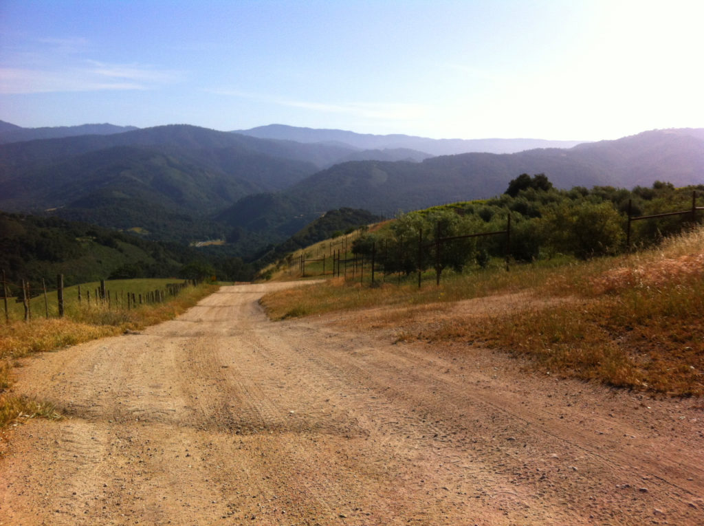 Holman Ranch, Central Coast, Wine, Vineyard, California, Hotel, Ranch, Accommodations, Travel, Event Venue
