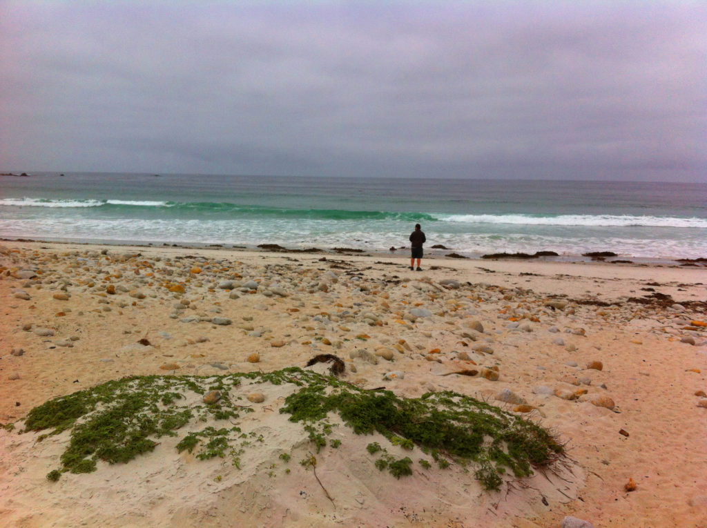 17-Mile Drive, Carmel, Pacific Grove, Monterey, Central Coast, Travel, California, Beaches
