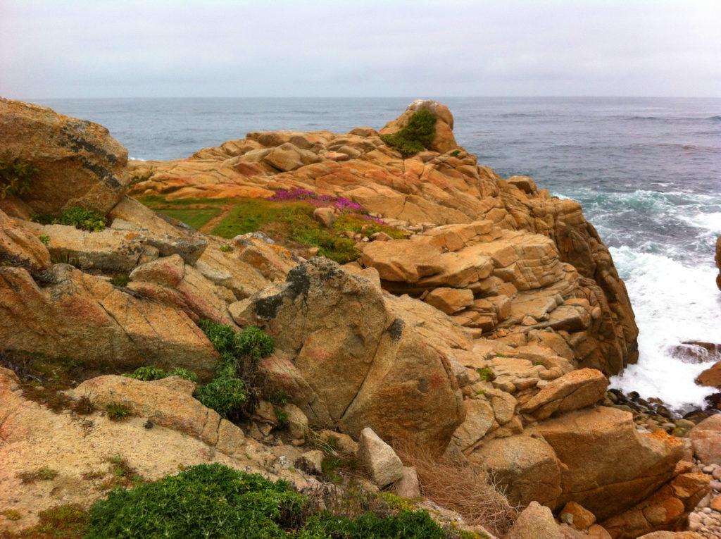 17-Mile Drive, Carmel, Pacific Grove, Monterey, Central Coast, Travel, California, Beaches
