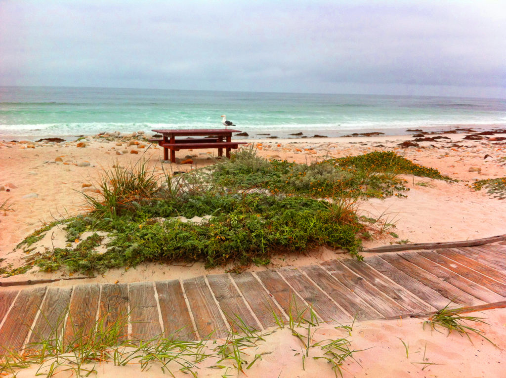 17-Mile Drive, Carmel, Pacific Grove, Monterey, Central Coast, Travel, California, Beaches