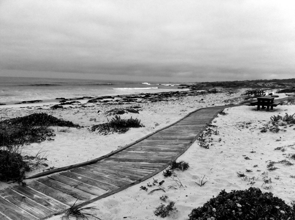 17-Mile Drive, Carmel, Pacific Grove, Monterey, Central Coast, Travel, California, Beaches