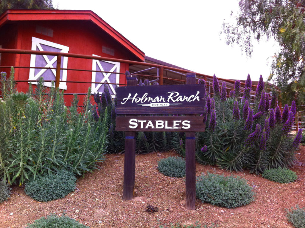 Holman Ranch, Central Coast, Wine, Vineyard, California, Hotel, Ranch, Accommodations, Travel, Event Venue
