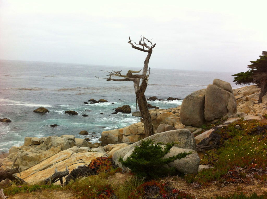 17-Mile Drive, Carmel, Pacific Grove, Monterey, Central Coast, Travel, California, Beaches
