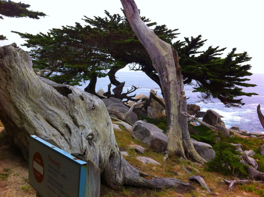17-Mile Drive, Carmel, Pacific Grove, Monterey, Central Coast, Travel, California, Beaches
