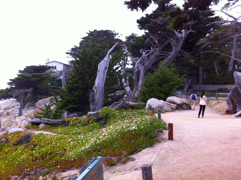 17-Mile Drive, Carmel, Pacific Grove, Monterey, Central Coast, Travel, California, Beaches
