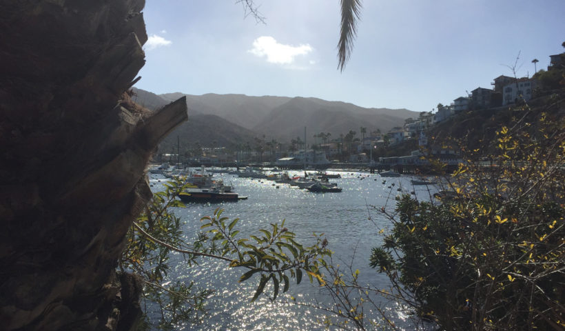 Avalon, Catalina Island, December, Travel