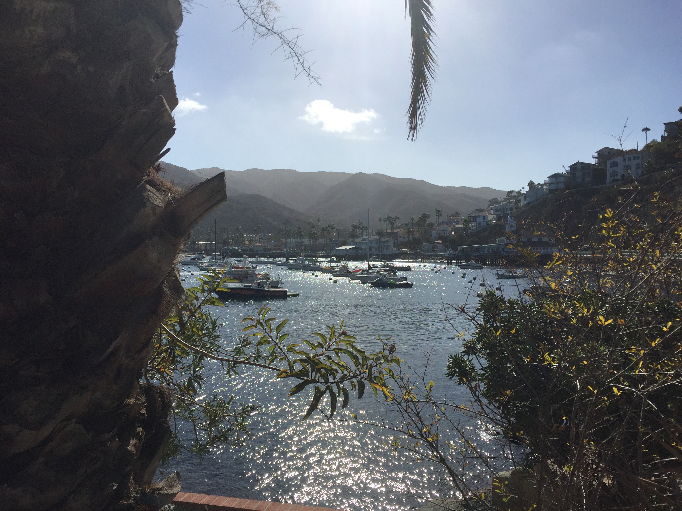 Avalon, Catalina Island, December, Travel