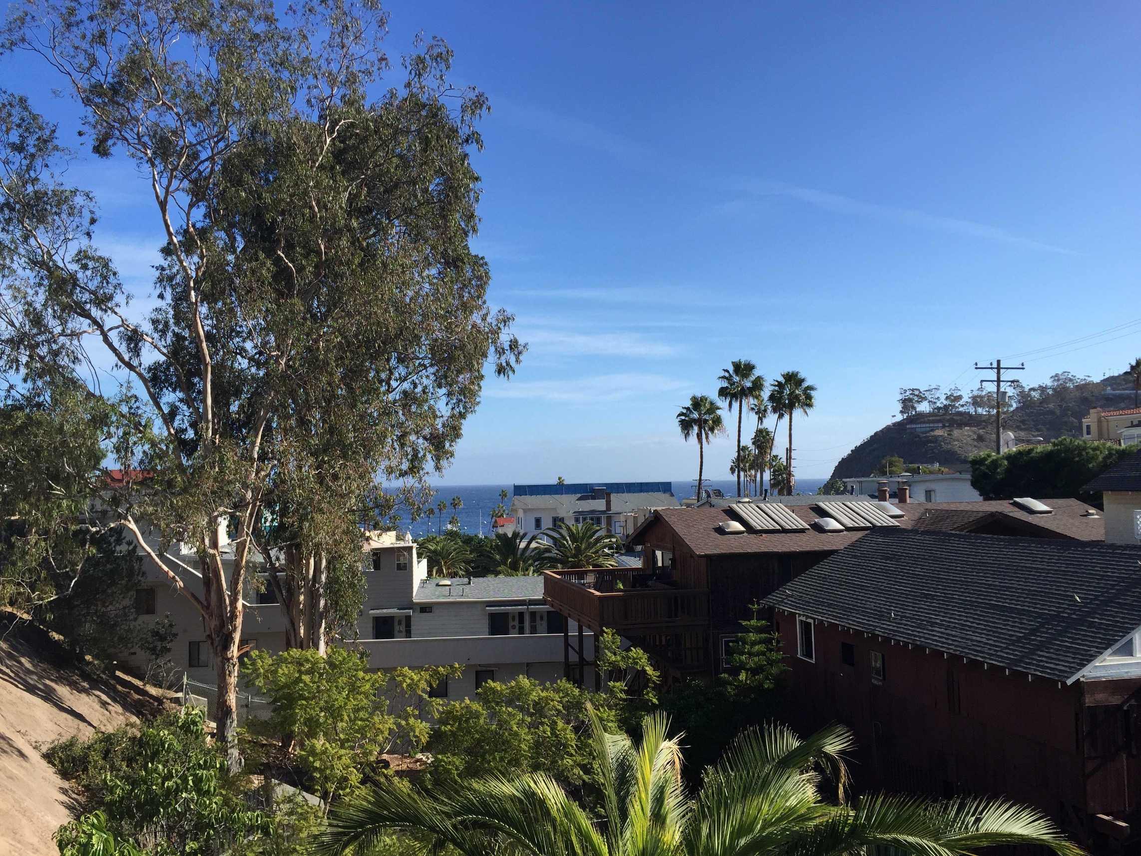 El Terado, Hotel, Avalon, Catalina Island, Affordable, Lodgings with views