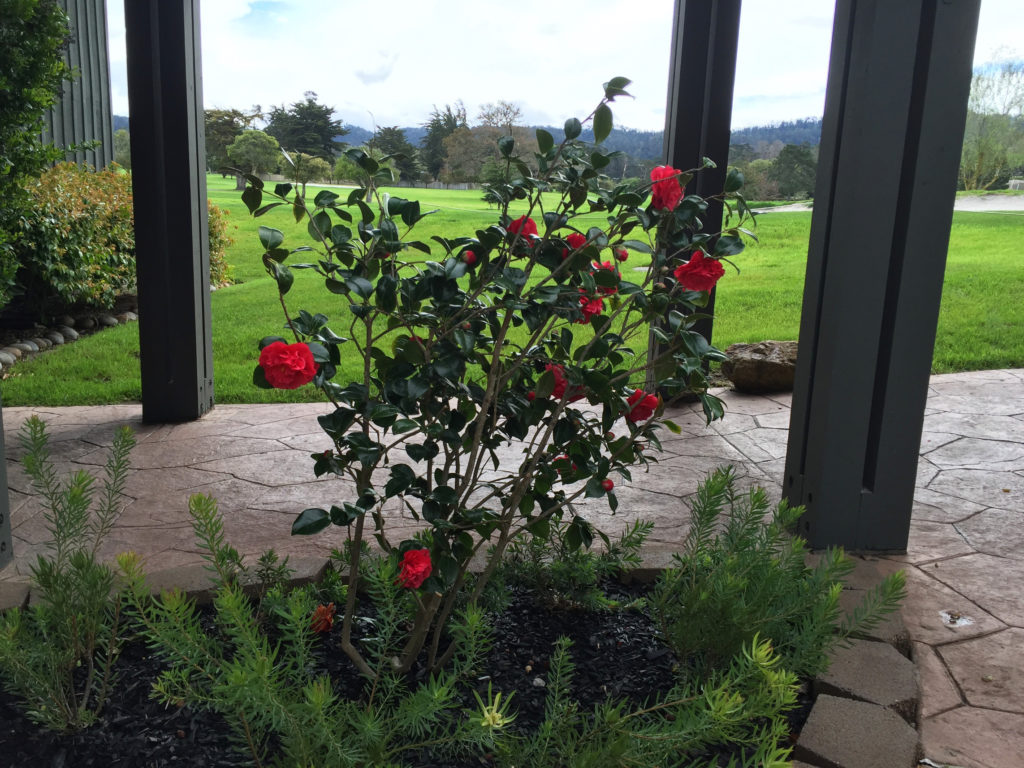 Hyatt Regency Monterey Hotel and Spa, Accommodations, Luxury, Lodgings, Central Coast
