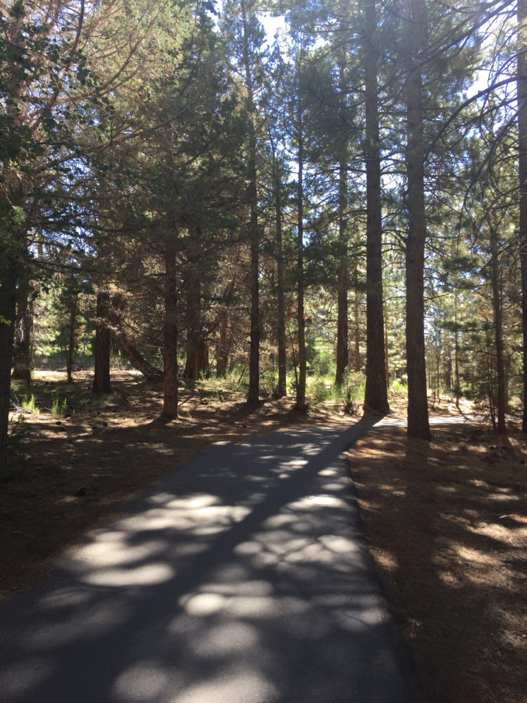 Alpine Pedal Path, Big Bear Lake, Hiking Trails, Adventure Travel, Travel, Mountains, California