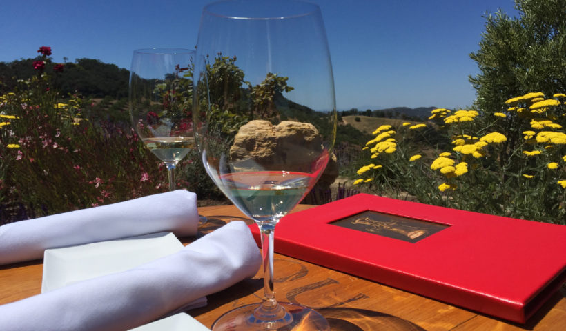 Daou, Wine Tasting in Paso Robles, California