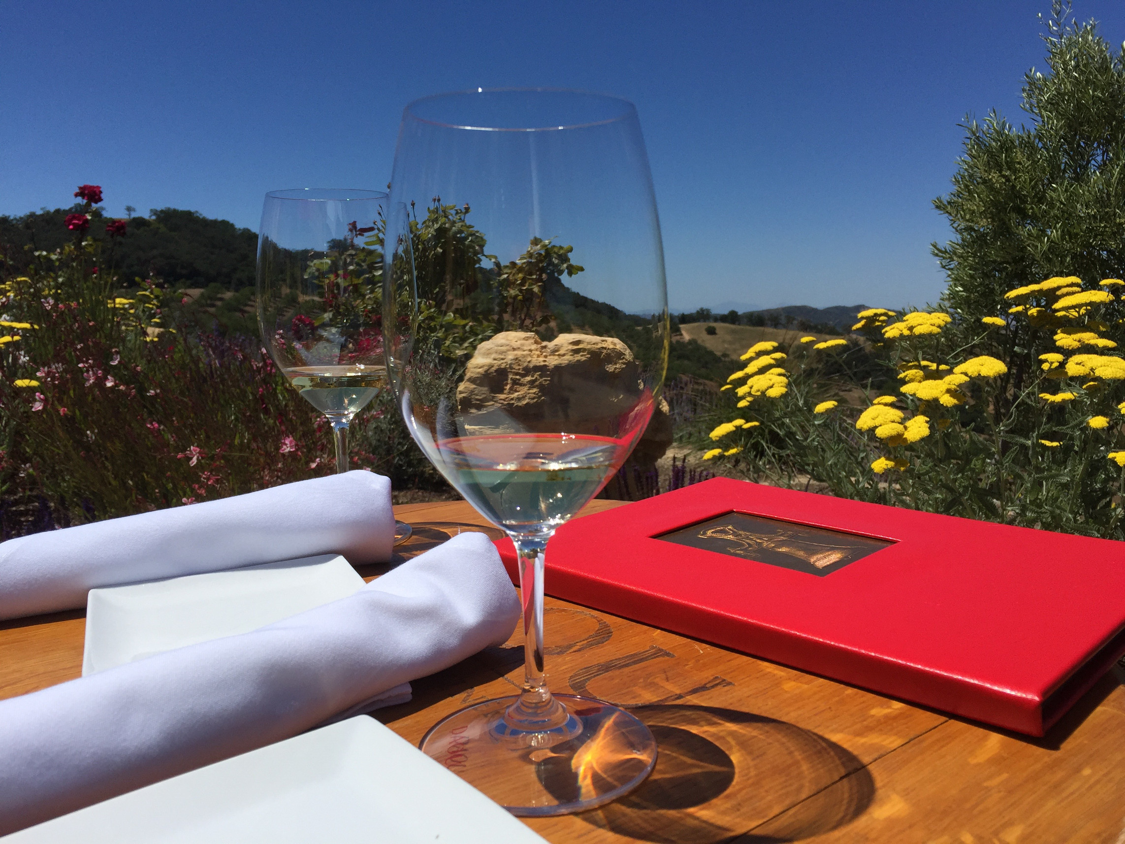 Daou, Wine Tasting in Paso Robles, California