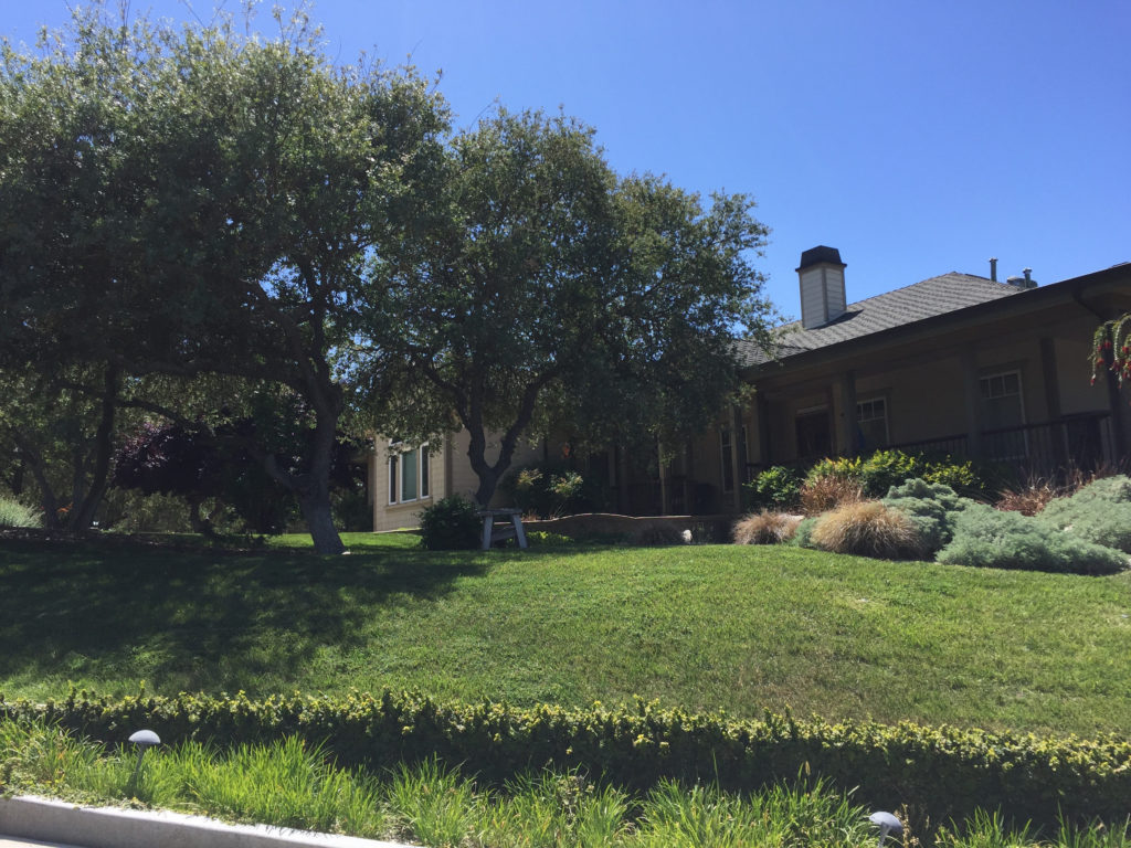 High Ridge Manor, Paso Robles, California, Travel, wine tasting