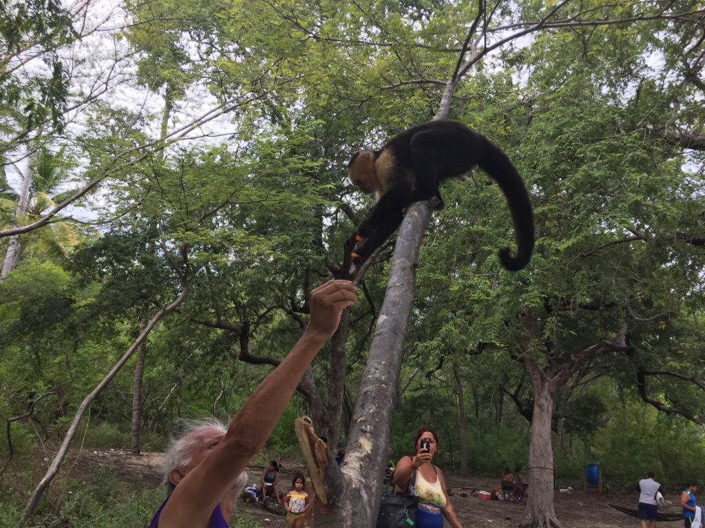 Beaches in Costa Rica, Nacascolo, Hidden Beach, Costa Rica, Those Someday Goals, Traveling Without a Net, Monkeys