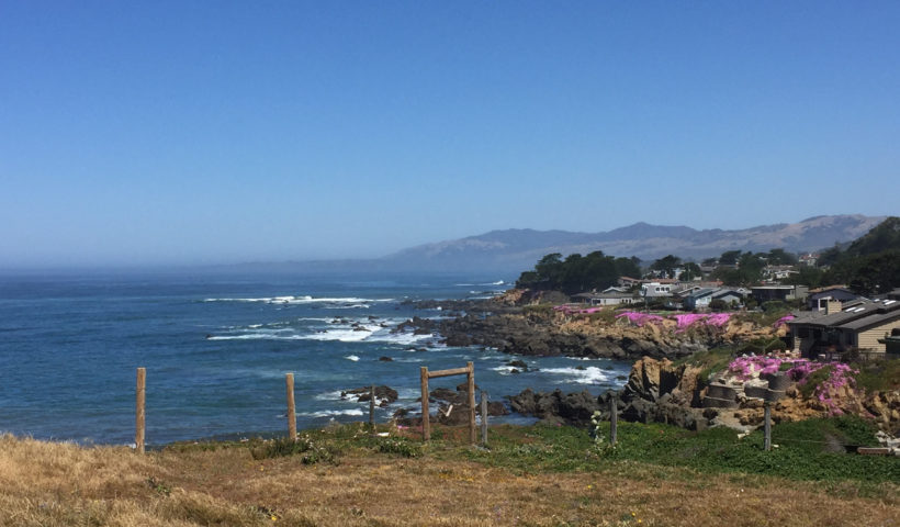 Fiscalini Ranch Preserve, Hiking in Cambria, California, Travel, Central Coast, Budget