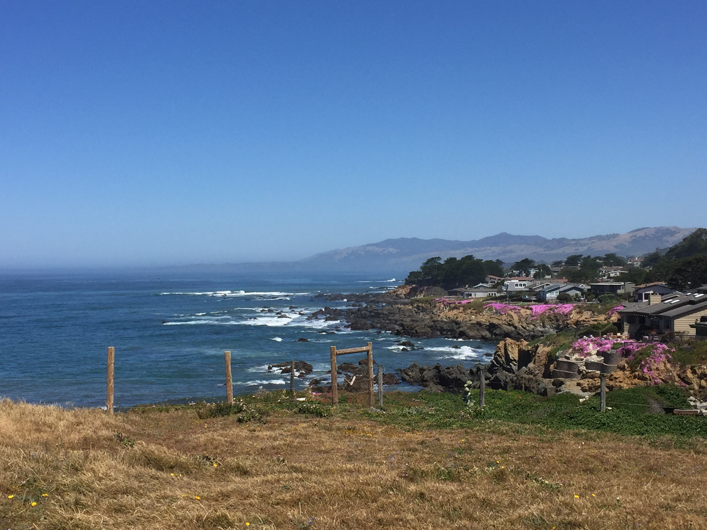 Fiscalini Ranch Preserve, Hiking in Cambria, California, Travel, Central Coast, Budget