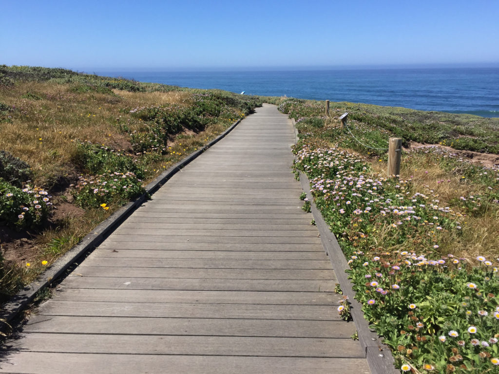 Fiscalini Ranch Preserve, Hiking in Cambria, California, Travel, Central Coast, Budget