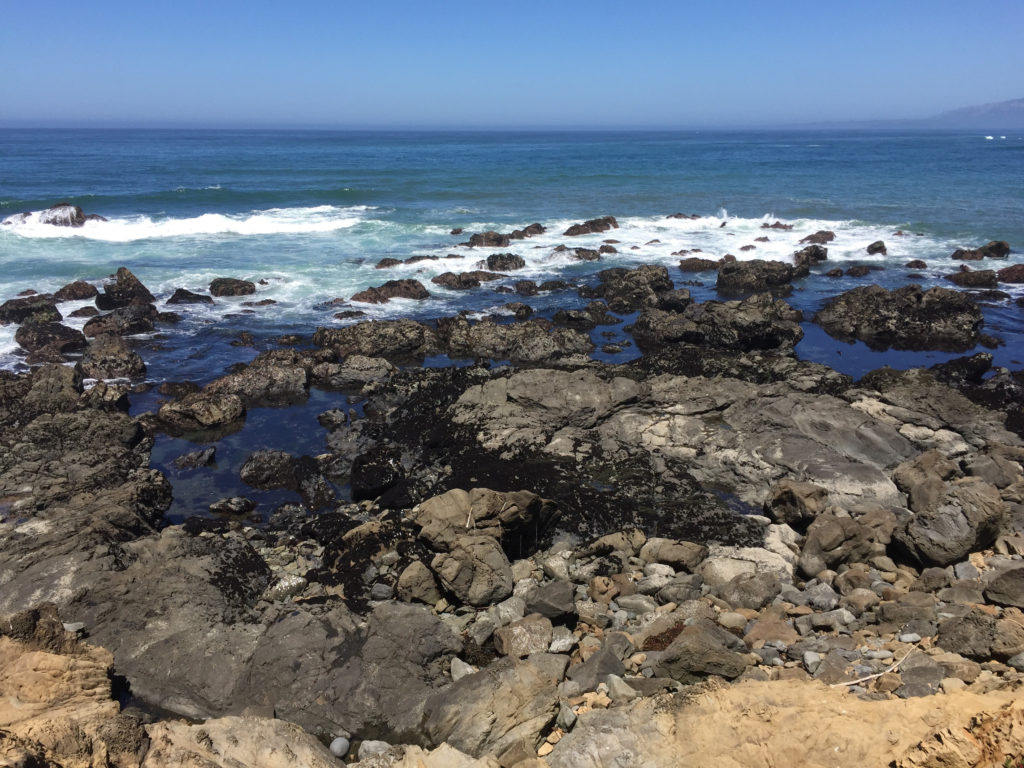 Fiscalini Ranch Preserve, Hiking in Cambria, California, Travel, Central Coast, Budget