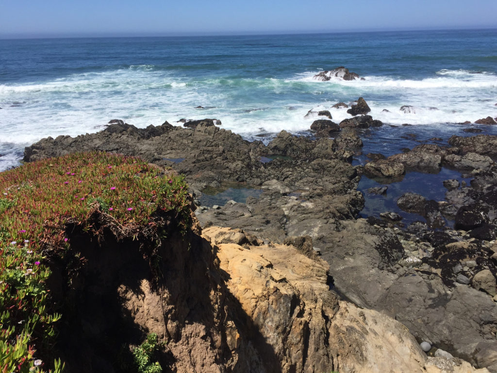 Fiscalini Ranch Preserve, Hiking in Cambria, California, Travel, Central Coast, Budget