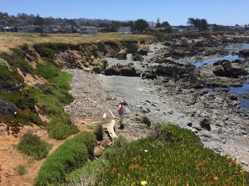 Fiscalini Ranch Preserve, Hiking in Cambria, California, Travel, Central Coast, Budget