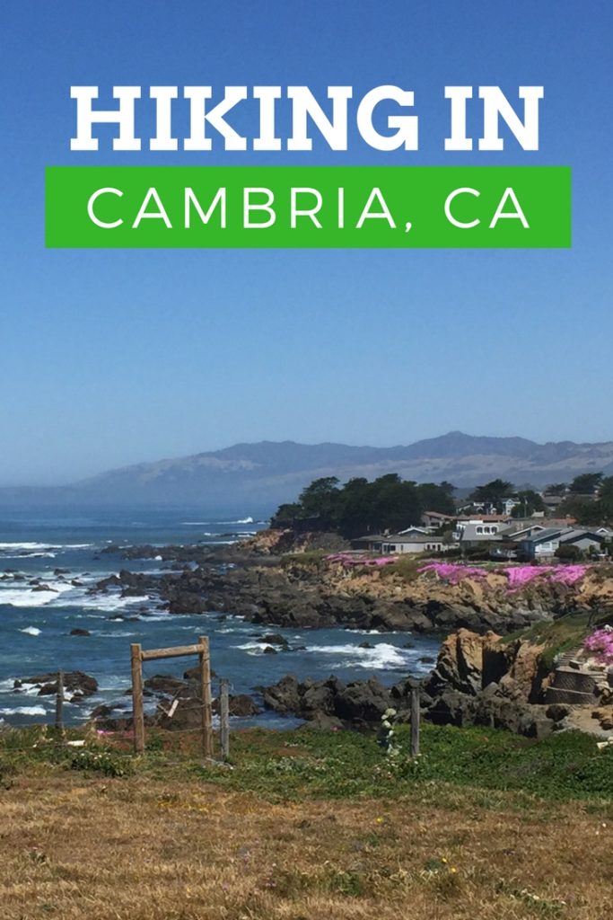 Fiscalini Ranch Preserve, Hiking in Cambria, California, Travel, Central Coast, Budget