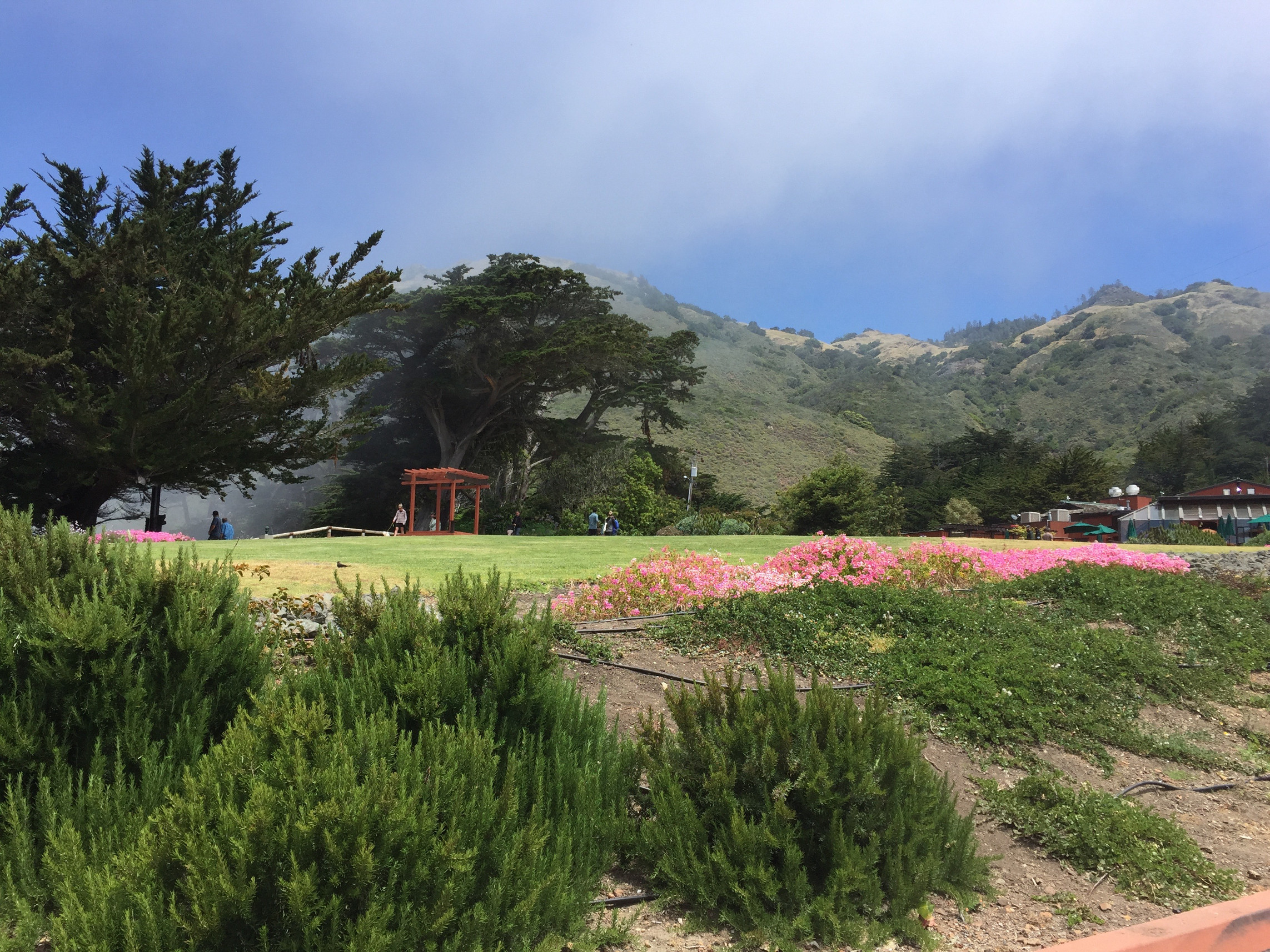 Ragged Point Inn and Resort, Big Sur, California, Central Coast, Travel, Hotel