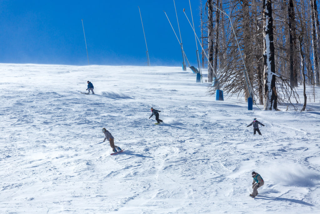 Ski and Snowboard photo by Kerry Gladden (The Agency)