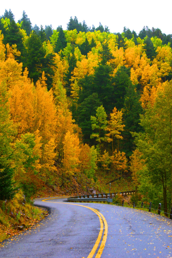 Photo of Ski Run Road by Kerry Gladden (The Agency)