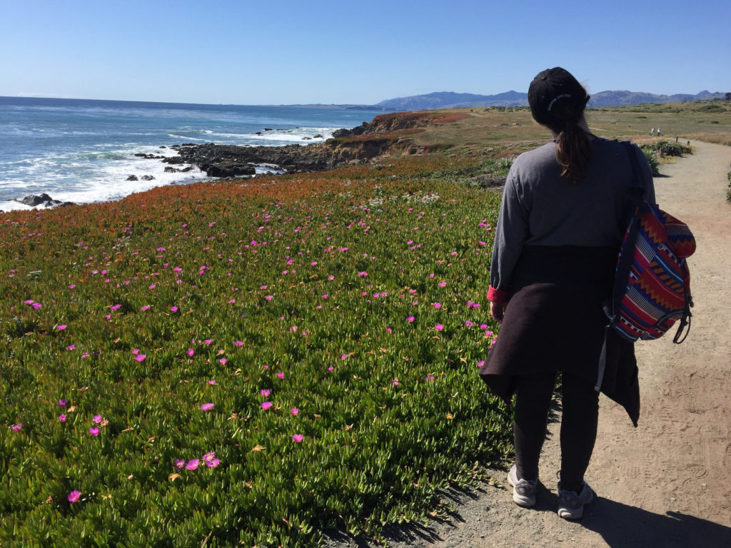 Cambria, California, Fiscalini Ranch Preserve
