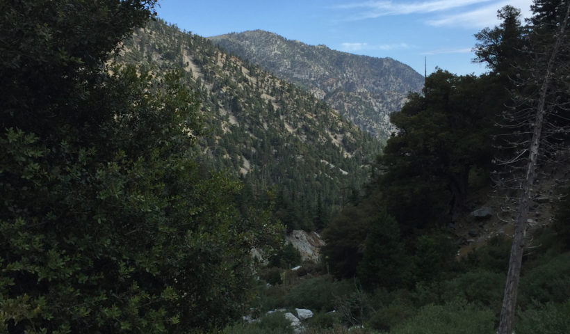 Mt Baldy hike