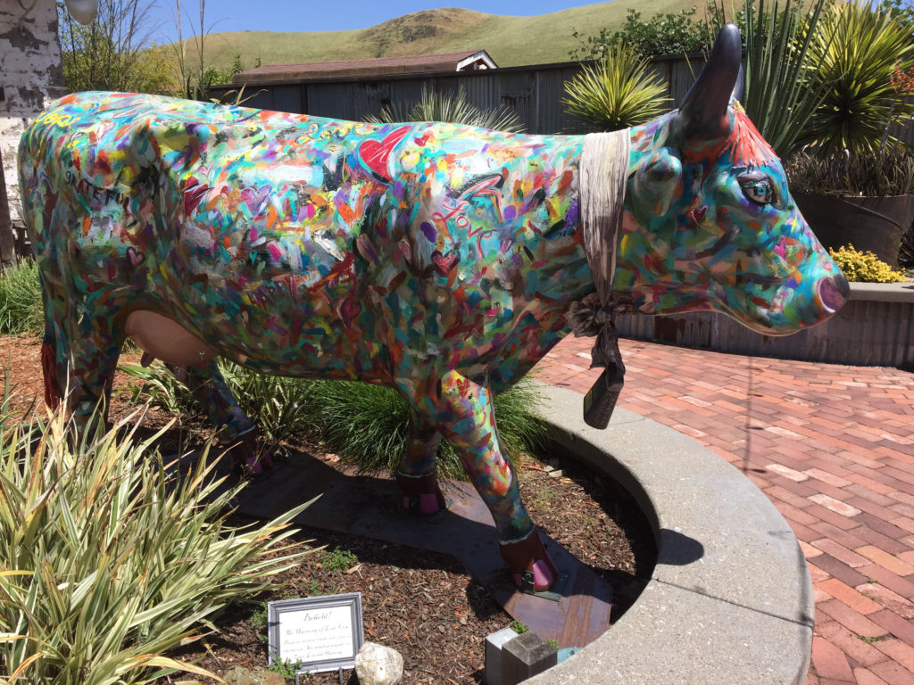 Love Cow Harmony California Near Cambria Population Under 200