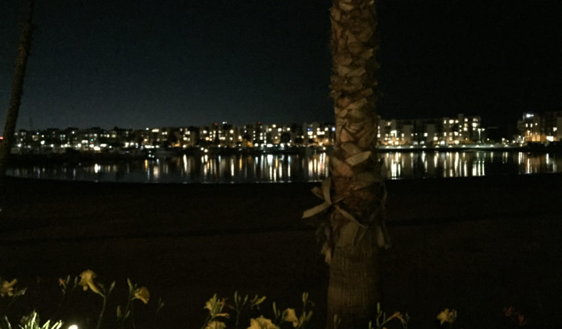 Marina del Rey at night, lights, flowers, palm trees, California, Those Someday Goals