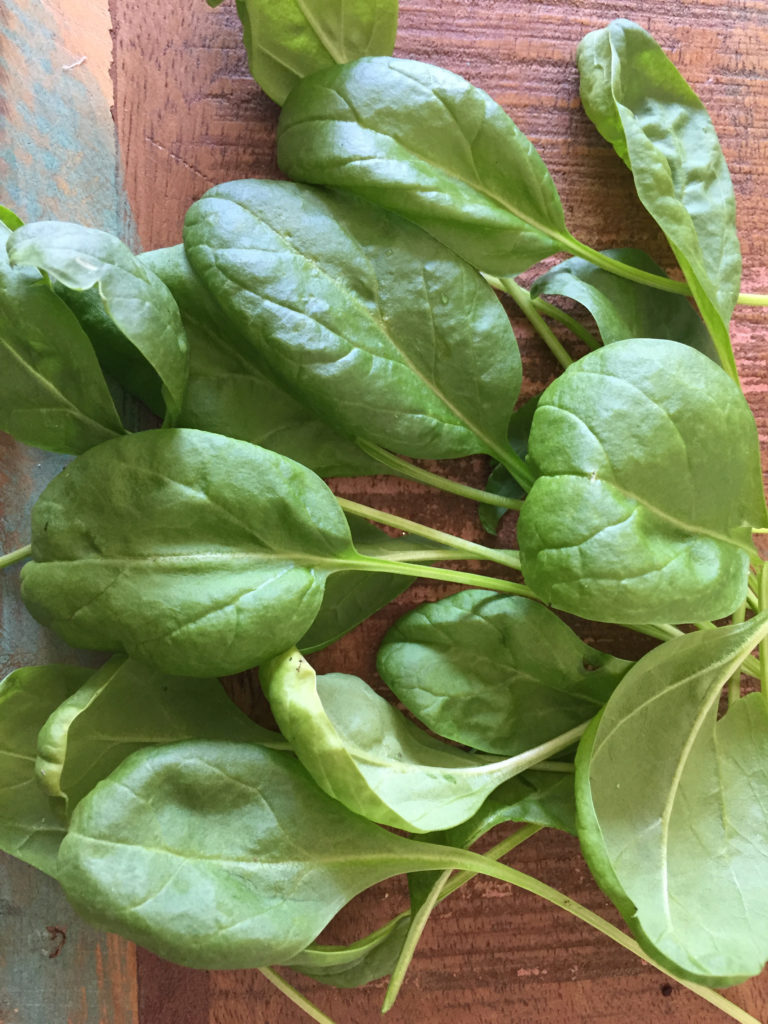 Urban indoor container garden ideas spinach Those Someday Goals