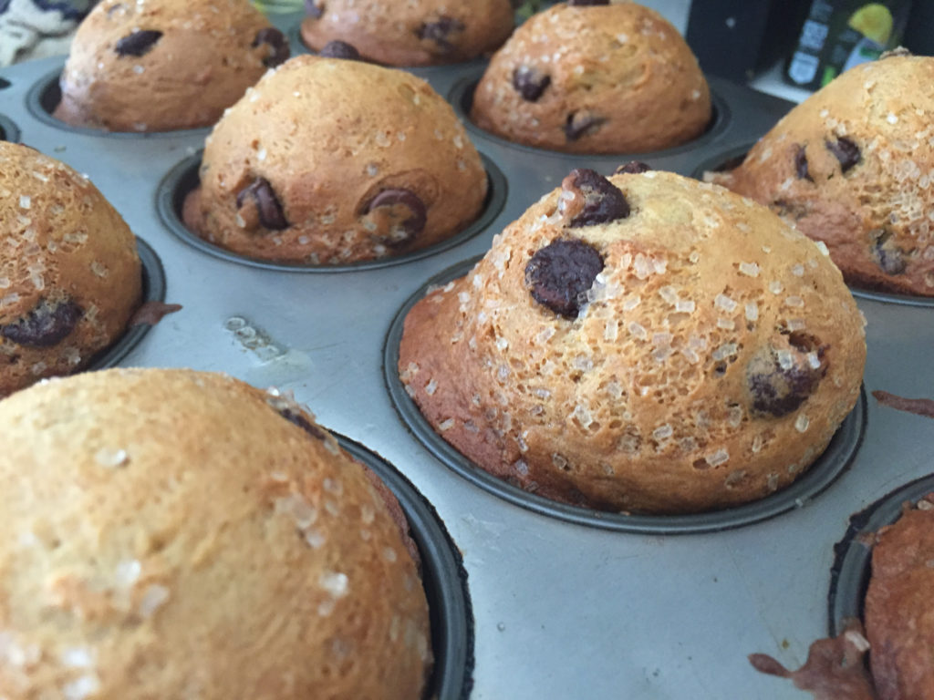 Chocolate Chip Muffins Those Someday Goals