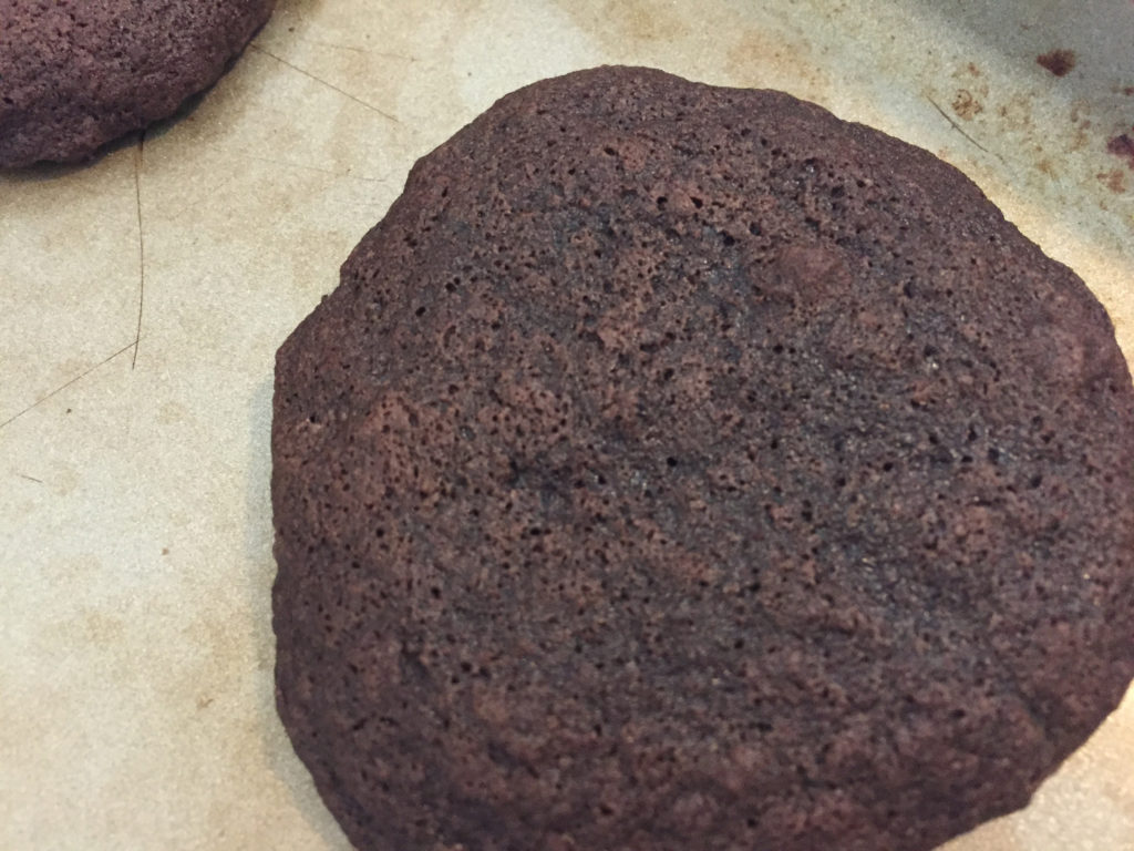 Chewy Chocolate Cookies Those Someday Goals